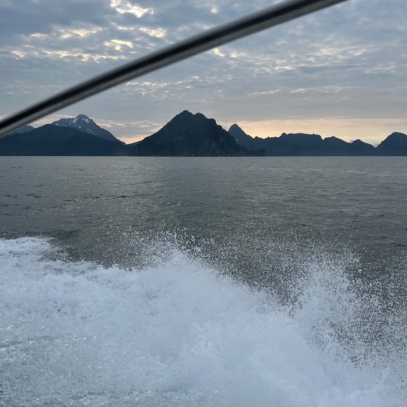 Meet your Posher, Maria - Picture 2 of 2